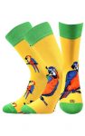 Bunte Socken mit Papagei